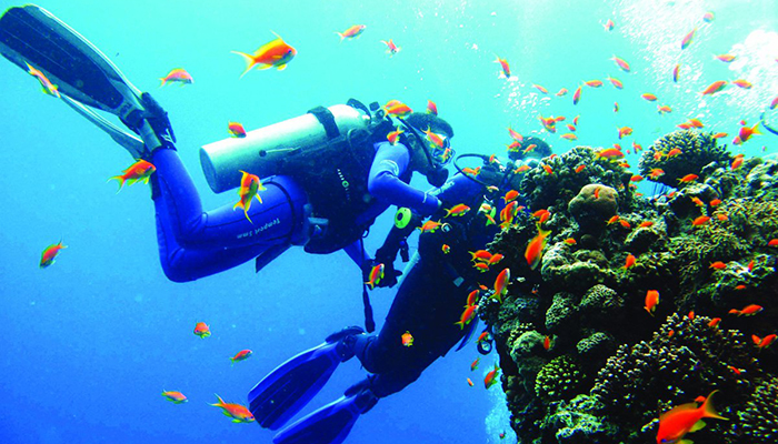 PADI DISCOVER SCUBA DIVING (DSD) – 1 DIVE